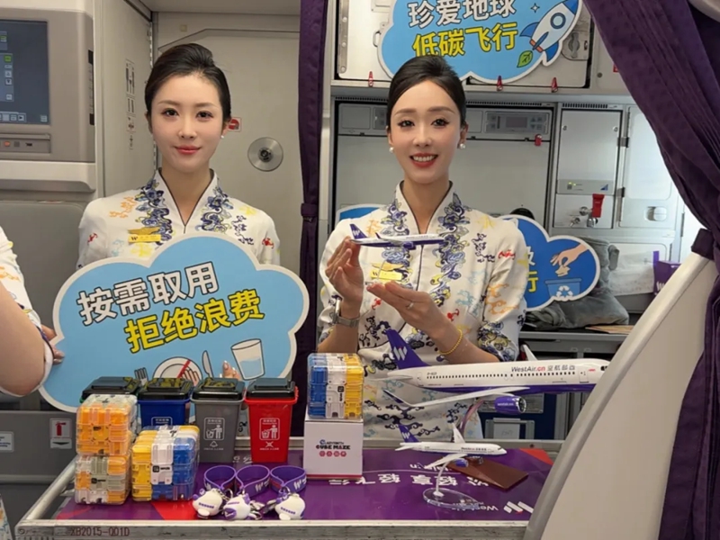 世界地球日主题航班。