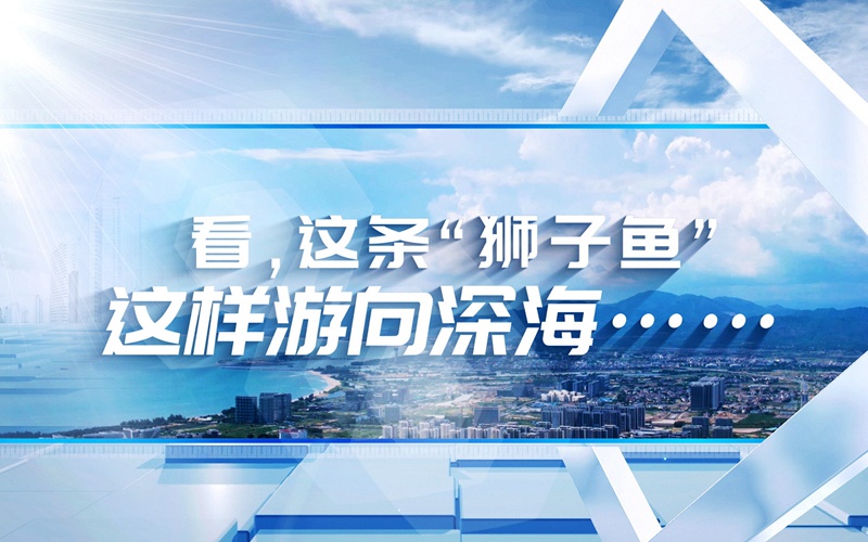海之南丨看，這條“獅子魚”這樣游向深海……
