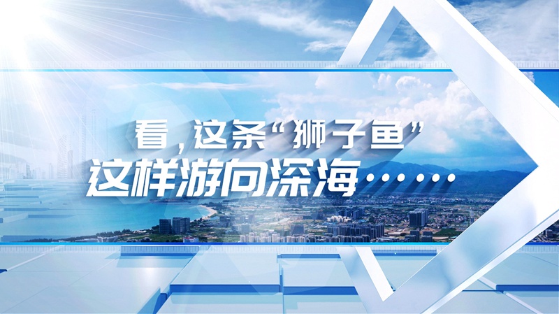 看，這條“獅子魚”這樣游向深海……