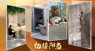 亿缕阳光｜万物有灵皆暖心