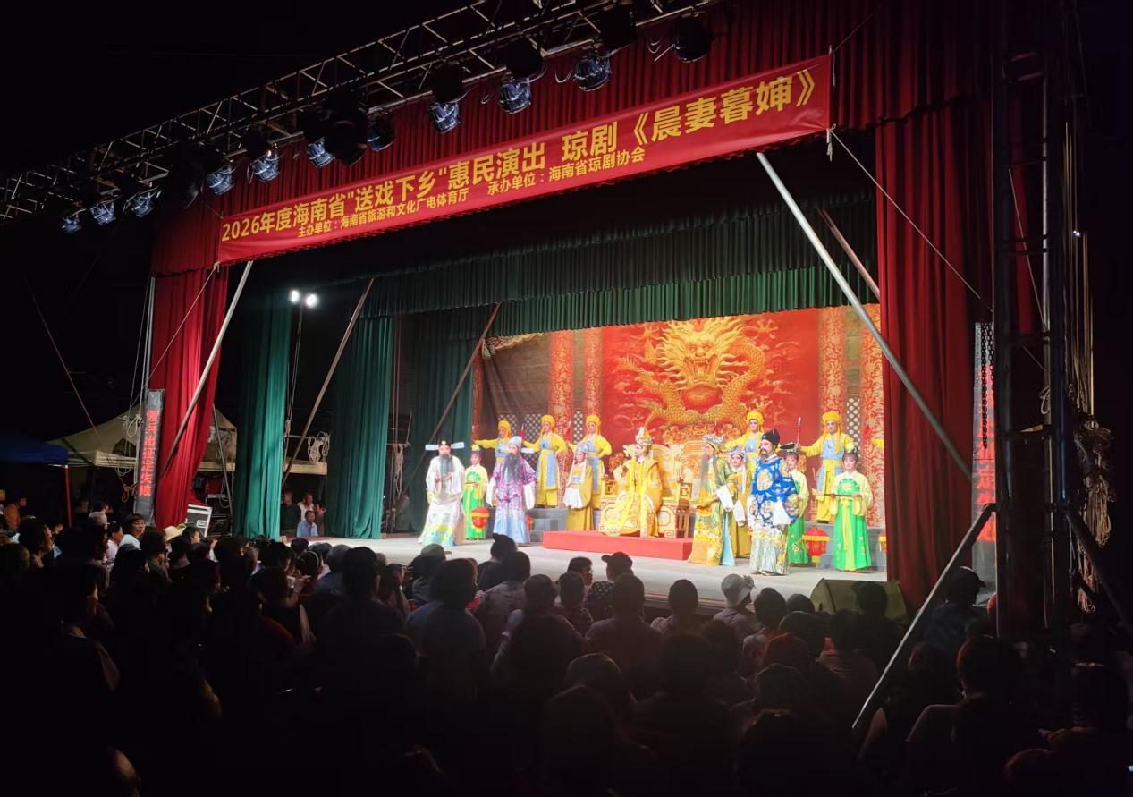 惠民演出現場。海南省旅文廳供圖