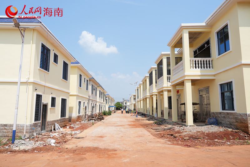 海南农垦西达农场南油队，崭新的独栋民居错落有致。 人民网记者 孟凡盛摄