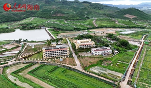 航拍海南农垦南繁育种基地