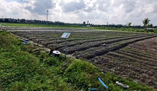 种植试验基地
