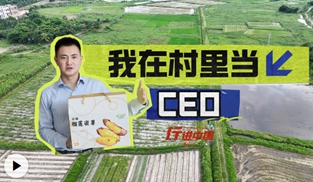 “乡村CEO”帮村里“做生意”