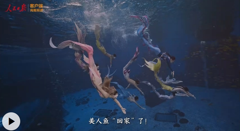 海之南丨美人魚，游到了海南？！