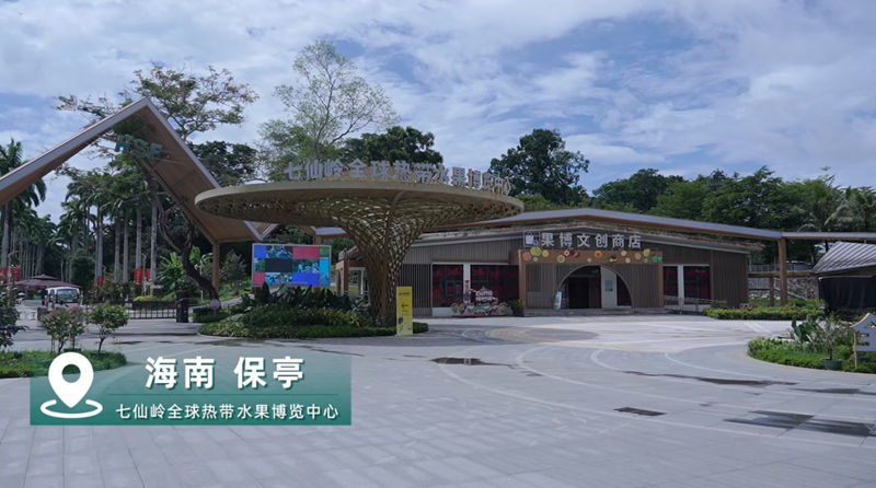 探访一座藏在雨林里的全球热带水果大观园