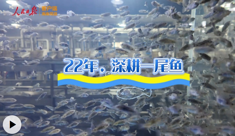 22年，深耕一尾魚