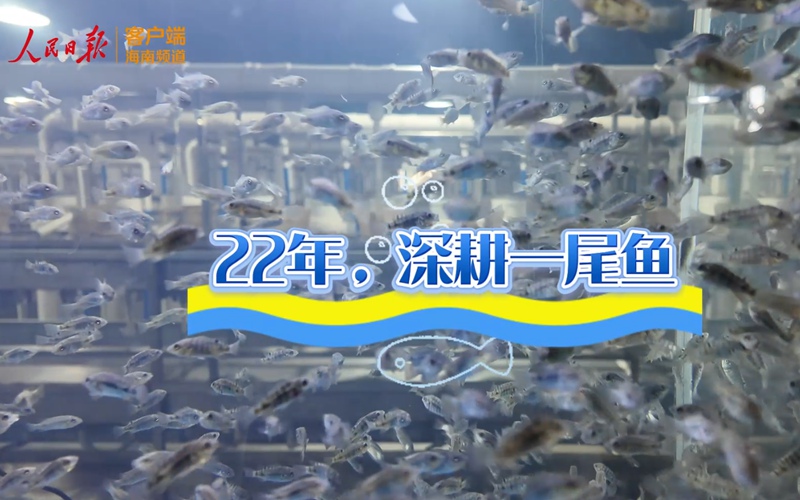 活力中国调研行丨22年，深耕一尾鱼