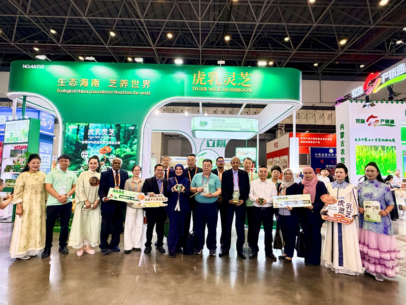 白沙虎乳灵芝展馆。主办方供图