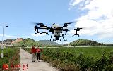 農業插上科技的“翅膀” 農民變身無人機“飛手”