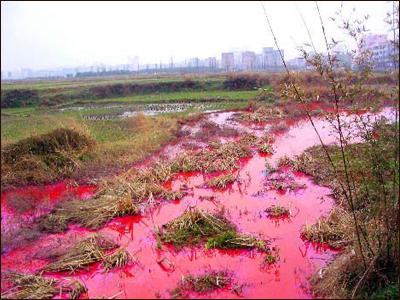 组图:江西省东乡县某造纸厂血流成河
