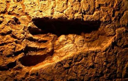 形状逼真 澳大利亚发现450只远古人类大脚印