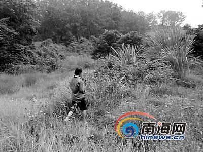 海口车管所节前双休日上班 新车上牌不用愁