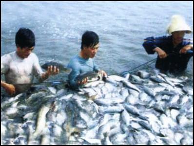 海洋资源丰富 三亚渔业发展前景广阔