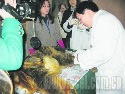 夫妻为了减少对孩子<em>不良</em>影响约定离婚后做好友