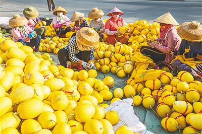 乐东县人口_“全省前三”“历史最高水平”……乐东5年来发展亮点多多(2)