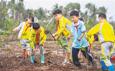 绿植心间 青山永驻一竞技下载(图2)