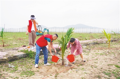 绿植心间 青山永驻一竞技下载(图1)